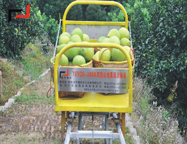山地果園雙軌運(yùn)輸機(jī)